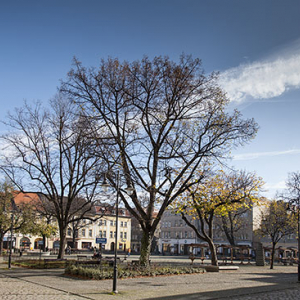 Kamienna Gora, Rynek Miejski. EU, Pl, Dolnoslaskie.
